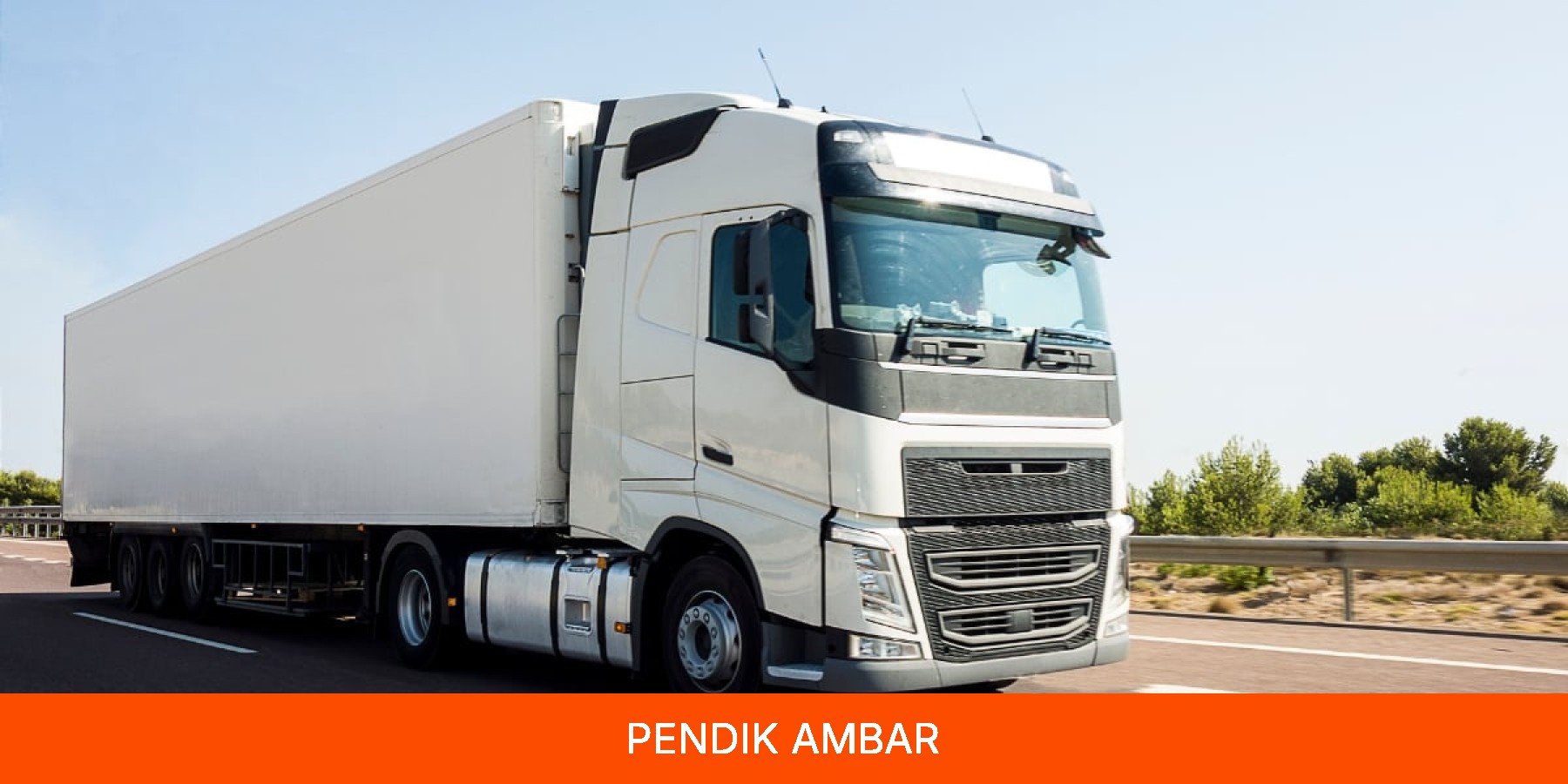 Pendik Ambar
